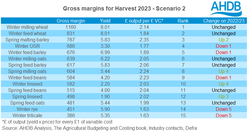 Table showing gross margins for harvest 2023 - Scenario 2